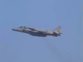 Harrier Harrier