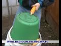 Radio Chlew - Na Poliu Od Rana