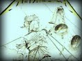 Metallica with added bass--The Frayed Ends Of Sanity