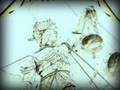 Metallica with added bass--The Frayed Ends Of Sanity