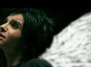 NEVER FELT THIS WAY [BILL KAULITZ]