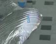 Festo Air_ray