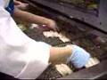 Kipper Snack production