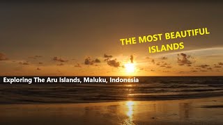 Exploring The Aru Islands