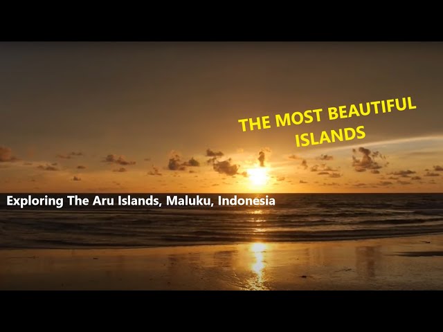 Exploring The Aru Islands