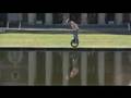 Extreme Unicycle 540 Backflip Shark Attack