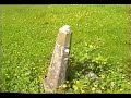 Ballygunner Temple cemetery, Waterford city, Ireland