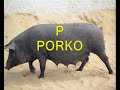 Alfabeto en Esperanto