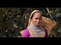 Bangladesh Tea Fresh Tour Package Holidays Dhaka Bangladesh Travel Guide