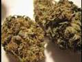 RAZZLE-BERRY-NUGS-Th