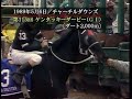 サンデーサイレンス