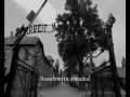 Auschwitz-Birkenau (Roman Dementiev)