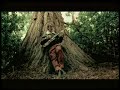 Mystery Jets - You Can\