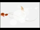 Lovelace Health System television advertising
