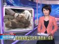 狂犬病