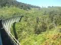 Overlander - Neeuseeland per Zug - Wellington to Auckland