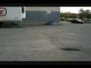 Diet Coke &amp; Mentos