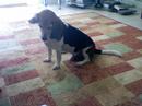 Playing Sock