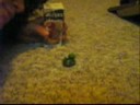 Pokemon Trianing Pokemon Trianing