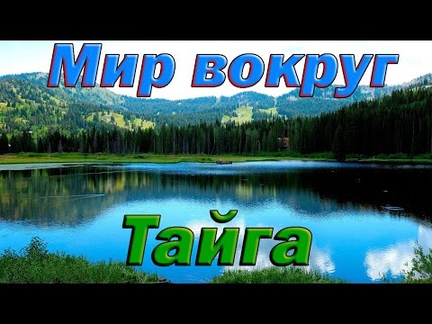 документальные фильмы про природу россии и рыбалку документальные фильмы про природу россии и рыбалку