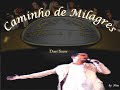 Trazendo A Arca - Caminho De Milagres Trazendo A Arca - Caminho De Milagres