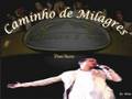 Trazendo A Arca - Caminho De Milagres