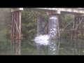 Bridge Jumping in lodi