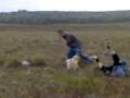 videos de En el campo