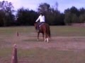 3:10 MOV18Cby Ron Schmidt 5 views - YouTube