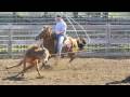 Team Roping in Penn Valley, California