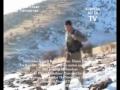 http://www.youtube.com/watch?v=UxxA6fcaq3Q     فیلمساز, ترانه ایتالیایی پارتیزان در ایران اعدام شد