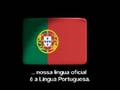 A Quick Guide About Brazil (Santa Cruz do Sul)