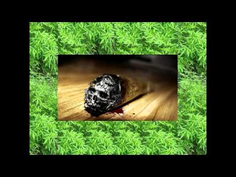 Fat Girls & Weed
