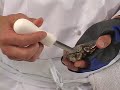 A Legal Sea Foods chef in Boston shows you how to shuck an oyster. Courtesy video from Legal Sea Foods.