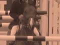 Equestrian: Requiem for a Dream Equestrian: Requiem for a Dream