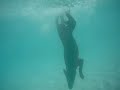 Mocka the miracle diving dog Mocka the miracle diving dog