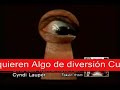 LAS CHICAS SOLO QUIEREN DIVERTIRSE