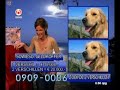 belspel, arlette