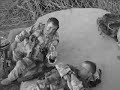 1 royal welsh op herrick 6 afghanistan 1 royal welsh op herrick 6 afghanistan