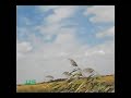 Fairuz Ya tair فيروز - يا طير