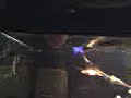 FISHSCALE - when guppies atack