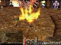 Arqueiras do clan horus