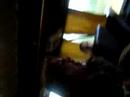 gordo na tpm