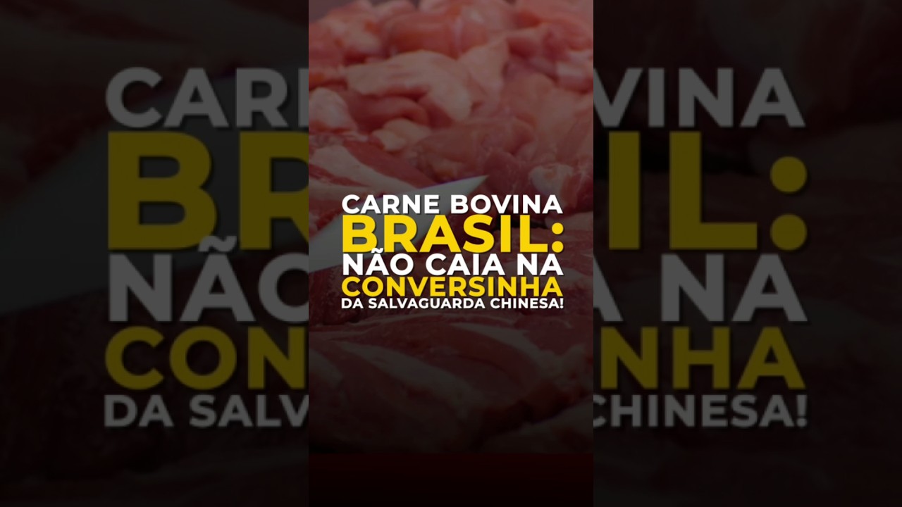 CARNE BOVINA BRASIL: NÃO CAIA NA CONVERSINHA DA SALVAGUARDA CHINESA!