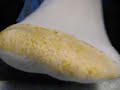 WHITE GOLD TOE ATHLETIC  SOCKS