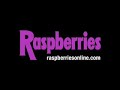 preview video of raspberries - live on sunset strip. details available at raspberriesonline.com!