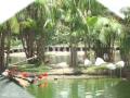 MANGAL DAS GARÇAS!!!.wmv