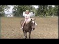My Little Pony