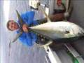 Big Fin