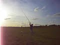 Mole Fishing